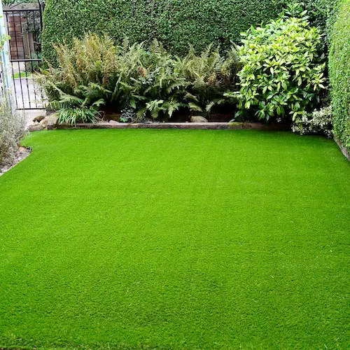 Photo of freshly cut green grass of a garden